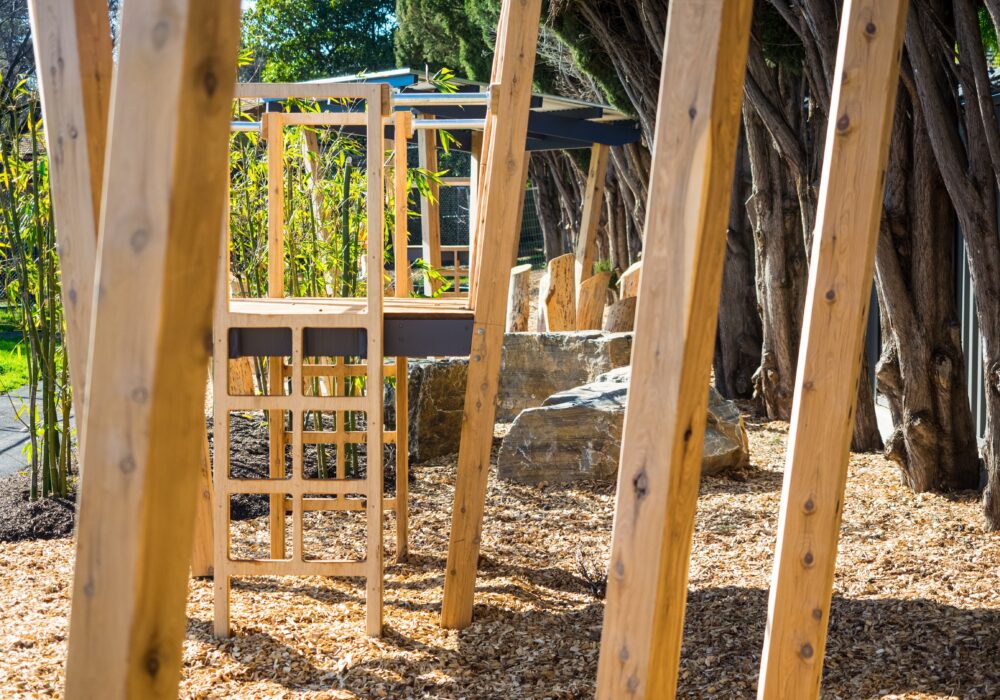 Glen Osmond Primary School work