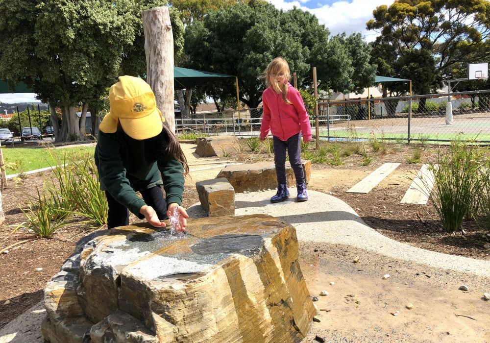Thorndon Park Primary School work